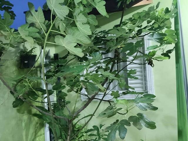 Casa para Venda em São José dos Campos - 4