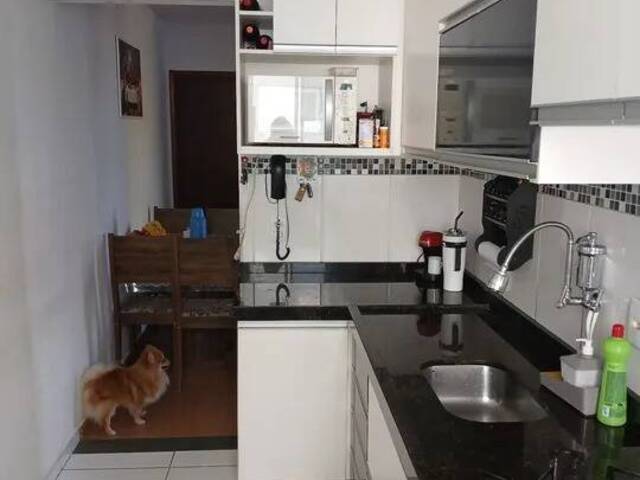 Apartamento para Venda em São José dos Campos - 3