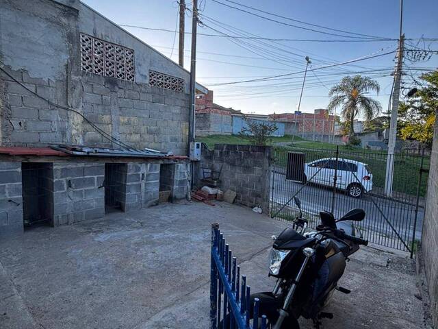  para  em  - 3